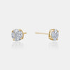 Clous d'oreilles diamantés