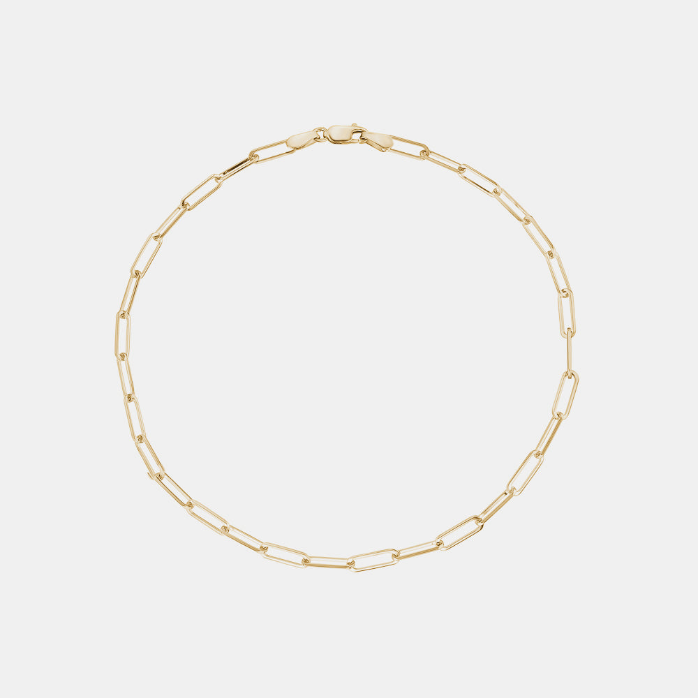 Paperclip Anklet