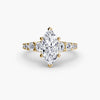 The Graduated Accent Ring