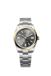 Rolex Oyster Perpetual 41 mm in Oystersteel and Yellow gold 134303/2026