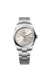 Rolex Oyster Perpetual 41mm Stainless Steel Silver Dial Oyster bracelet 134300/2026