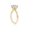 Classic Solitaire Ring with Yellow Gold Band