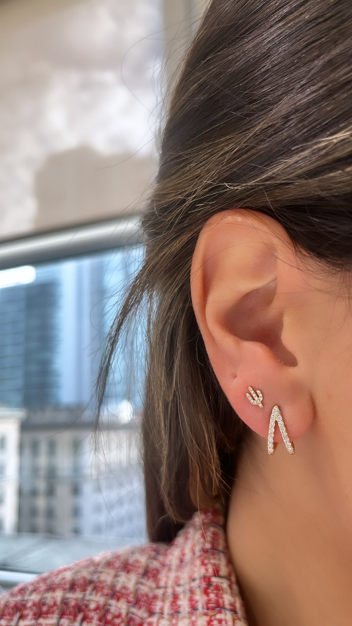 Double Crawler Earrings